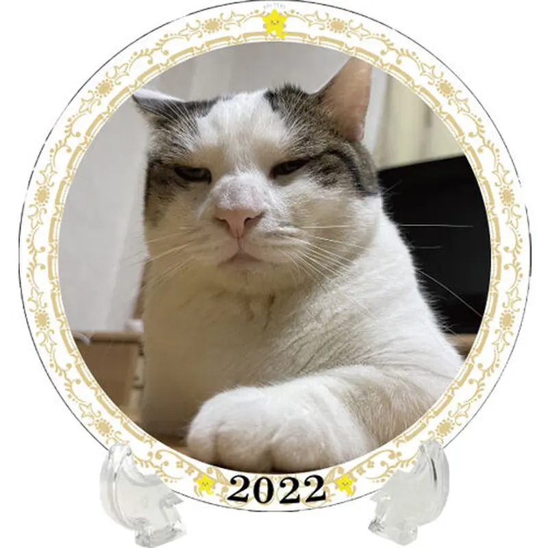 ひのき猫 ファンショップ