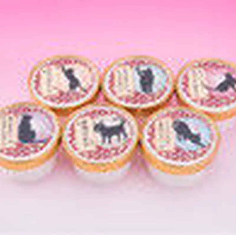 たまにゃん本舗