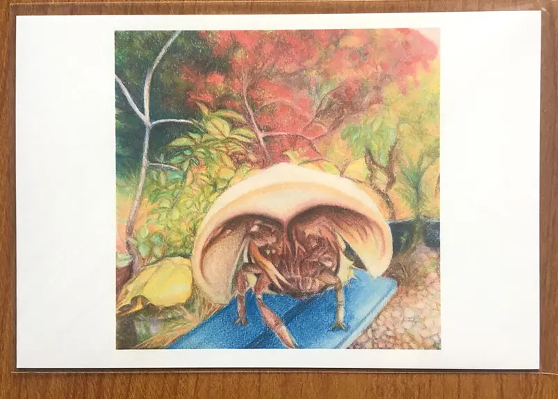 まもってふやそう カブトガニ