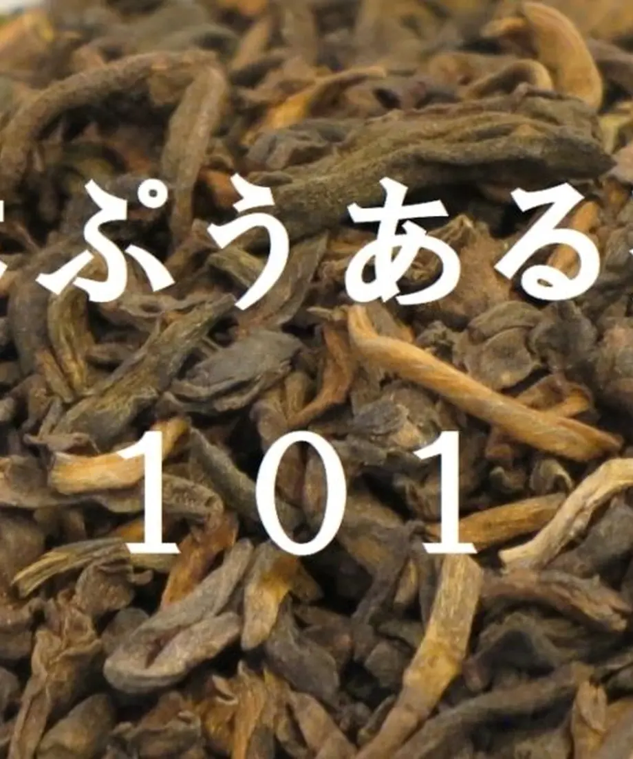 5dc0f61c745e6c63728142b1