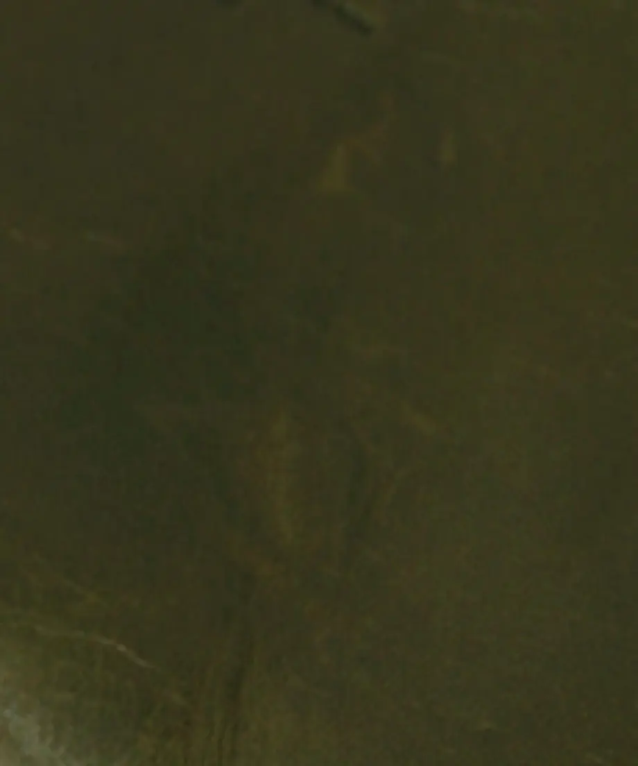 5ebba03c55fa033da411bf5b