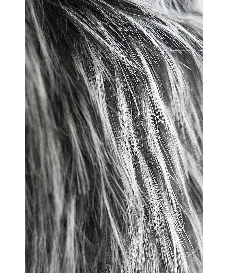 636ca51df5197366c3928e8e