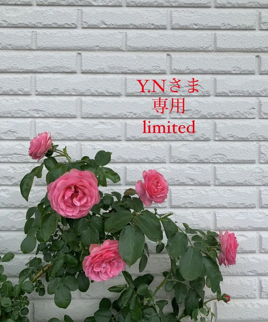 6104b0fd8a45721b2222b90b