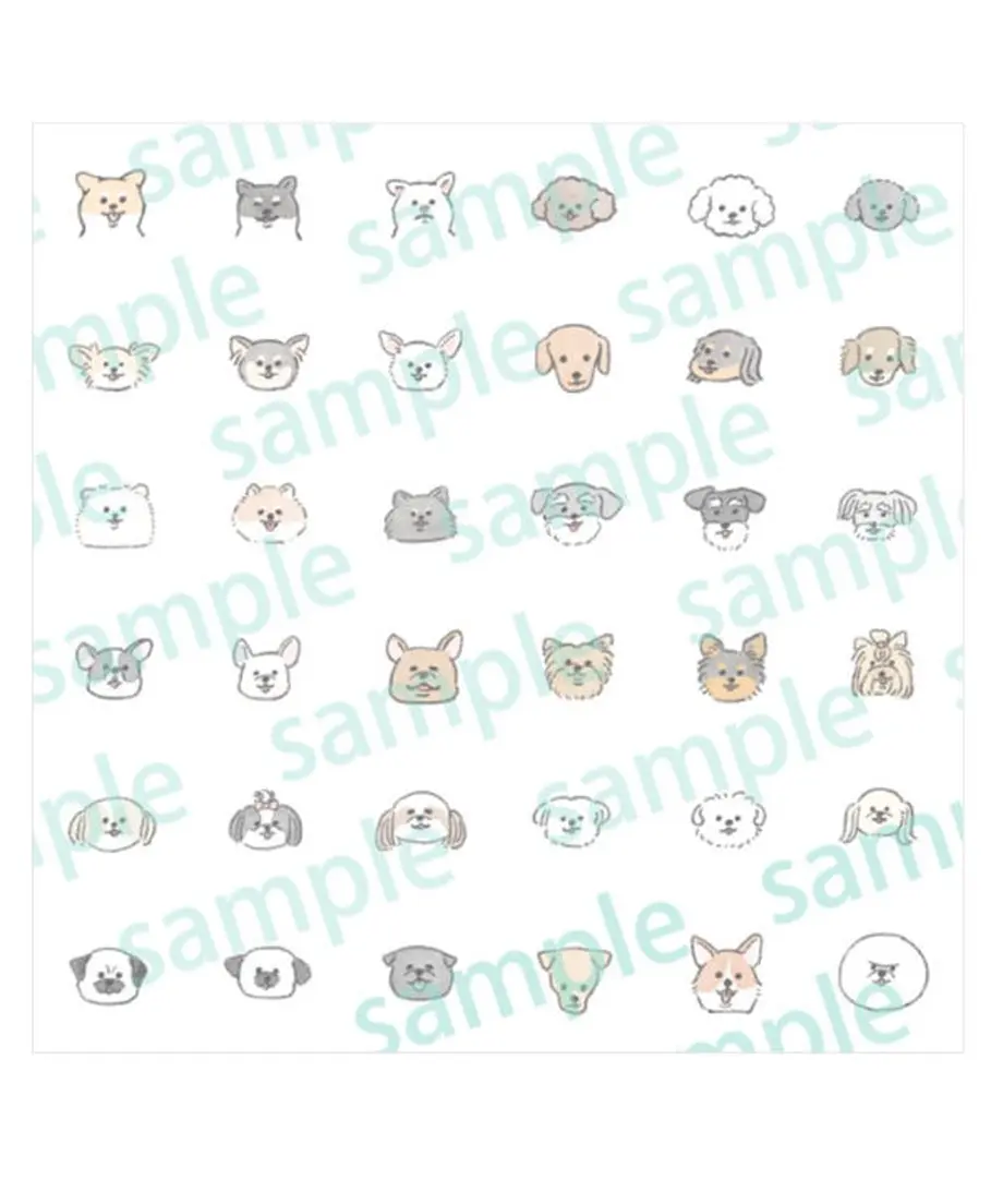 63a8f80ad325cc76e596b2de