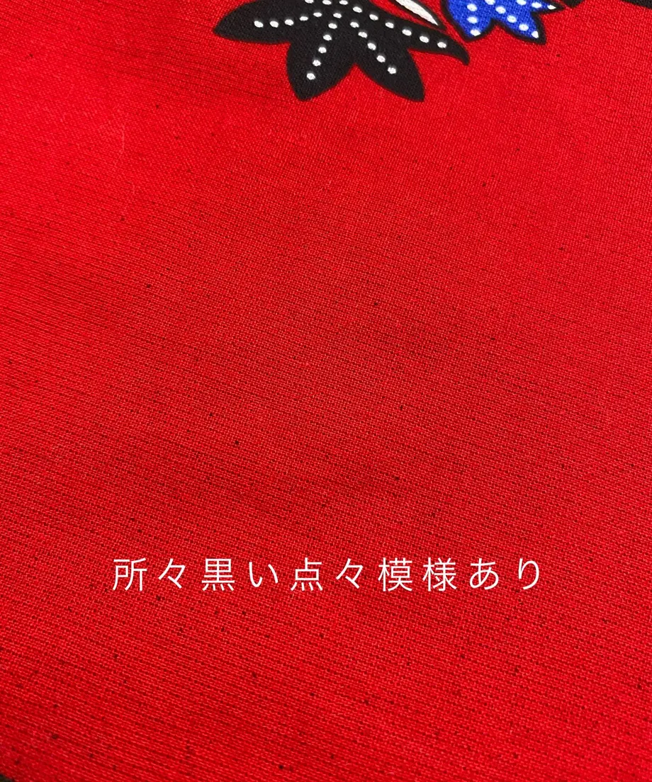 62bd24f9b5285a1b73f05c09