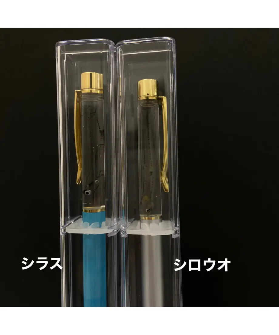 63ca3aaf50ea8b5cb5891bb0