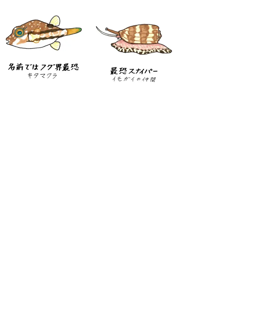 62f1beb6d8893733115e21a6