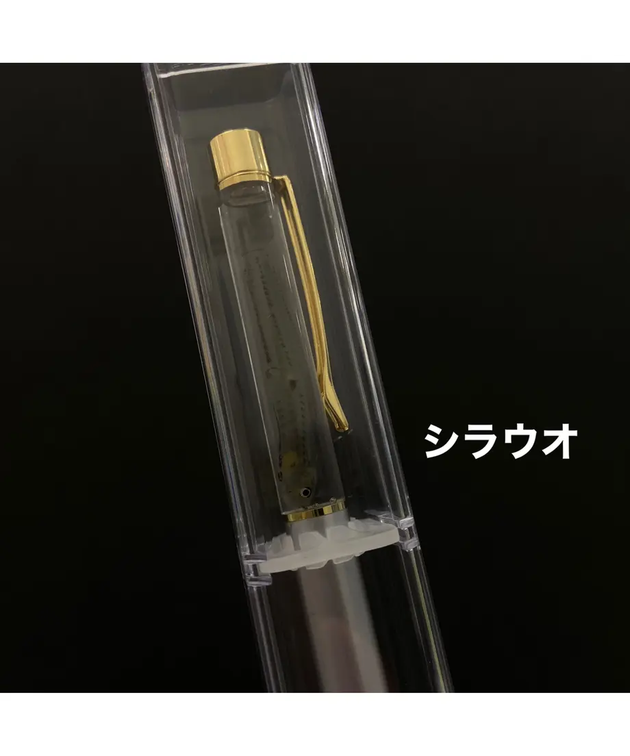 63ca3aaf50ea8b5cb5891bb0
