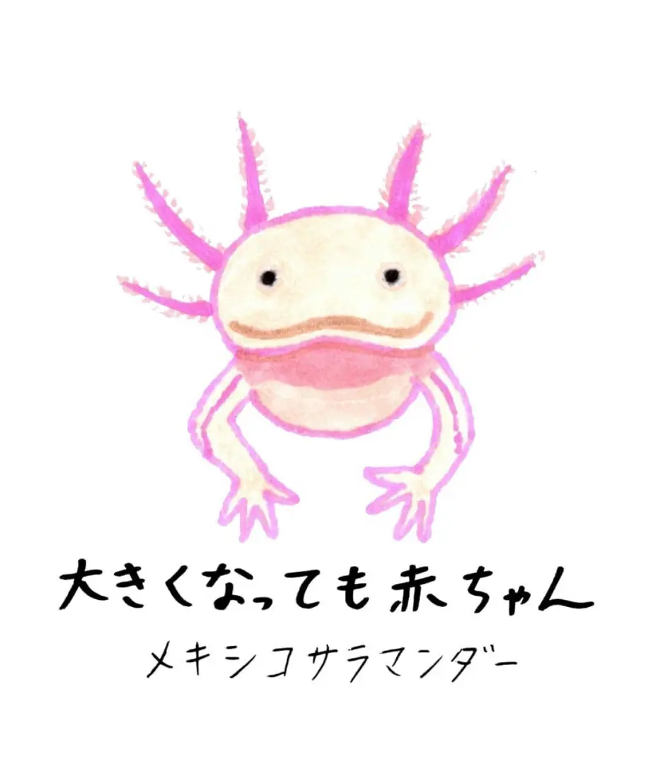 633cefbb5976202f95e41fac