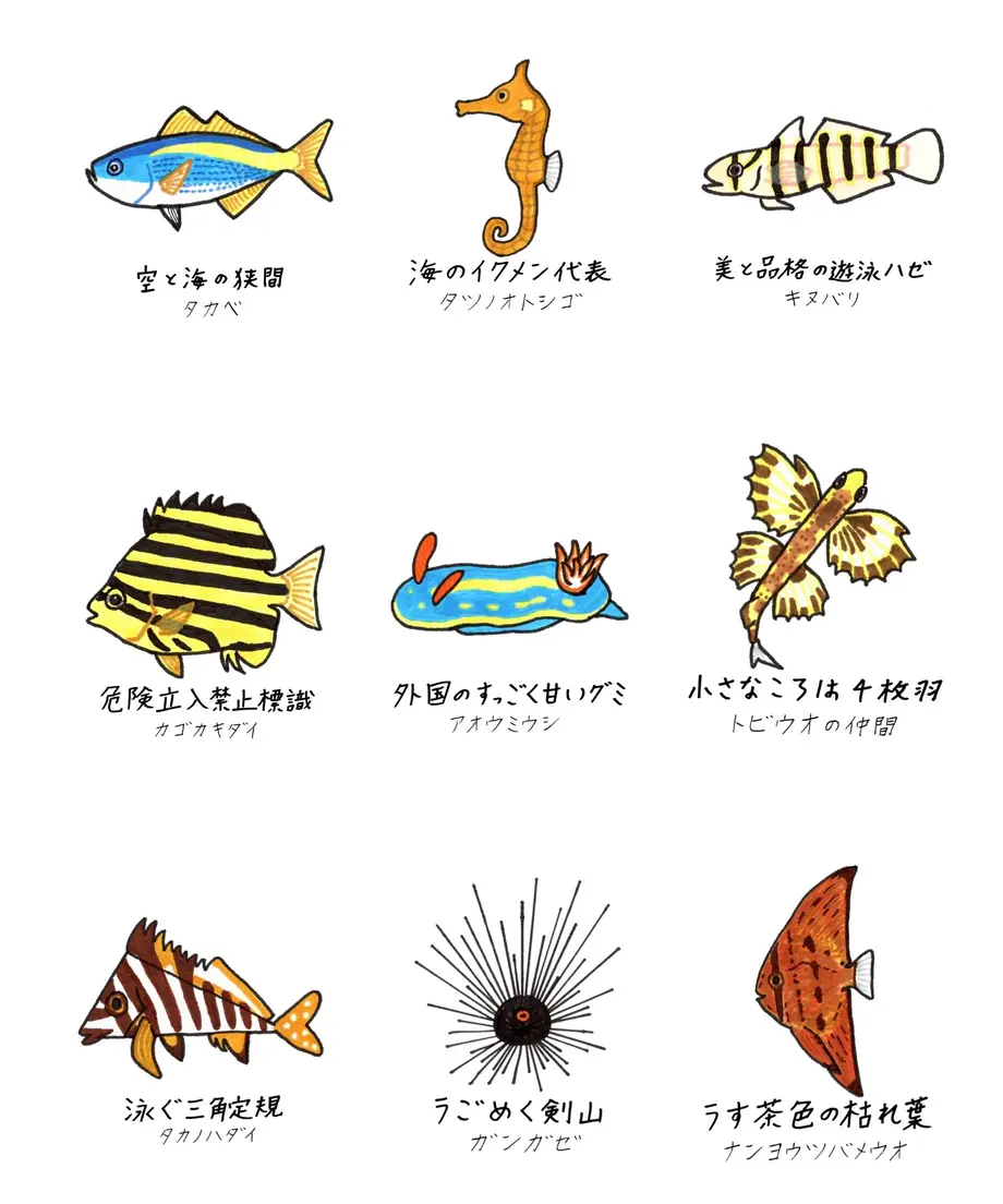 62f0a69da7e560198e12c1d5