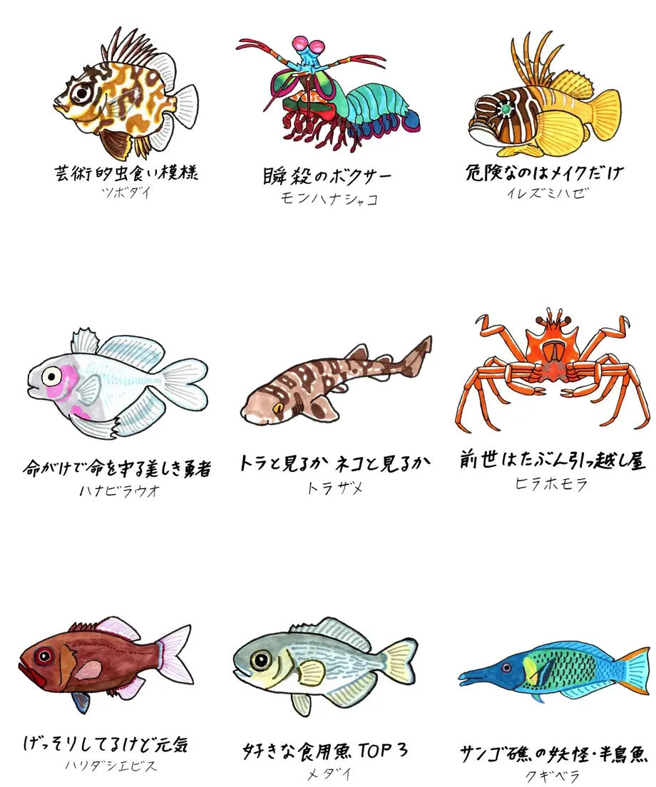62f1b78aac36617bc507e005