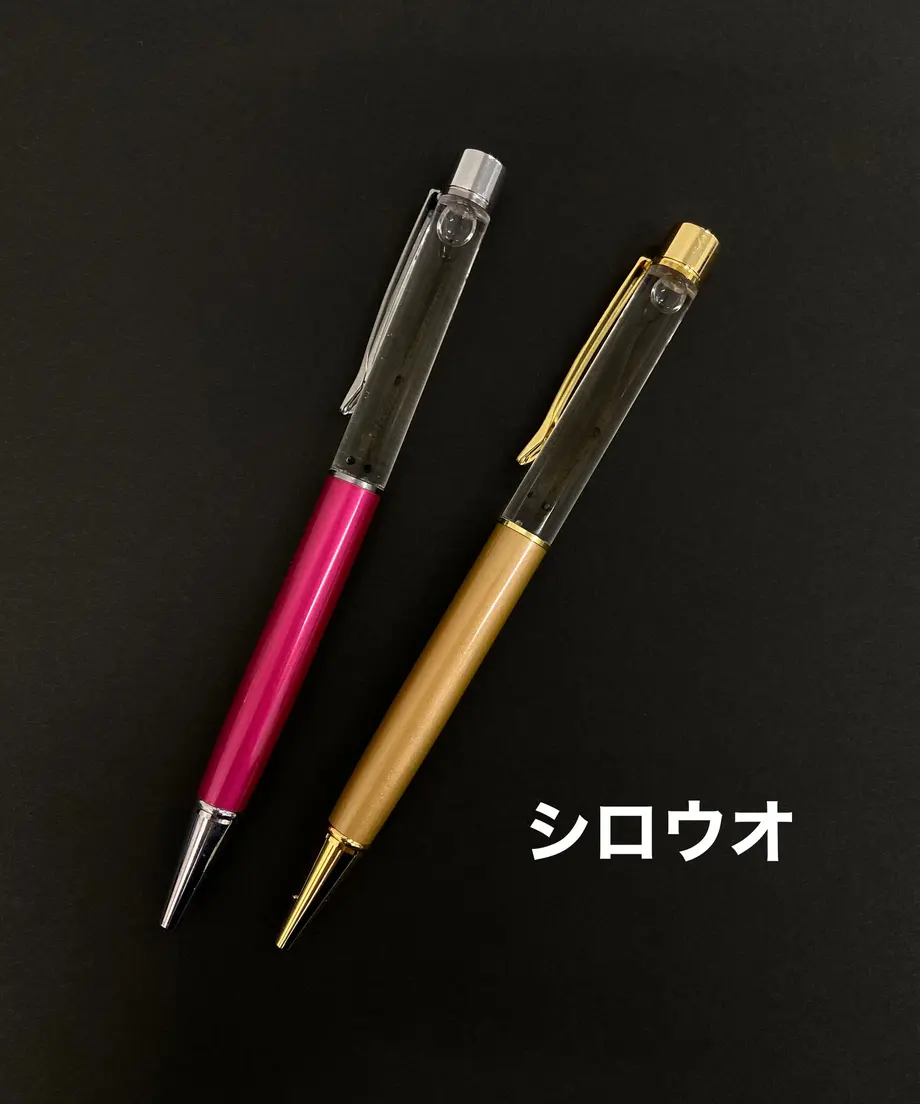630486d7402ae636d2f40e0d