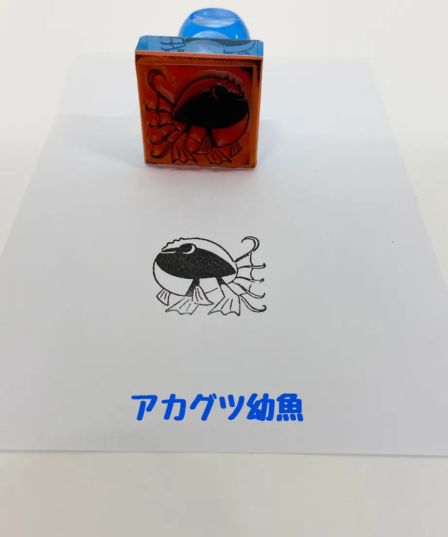 63c0f04d791d0269c83c1b83