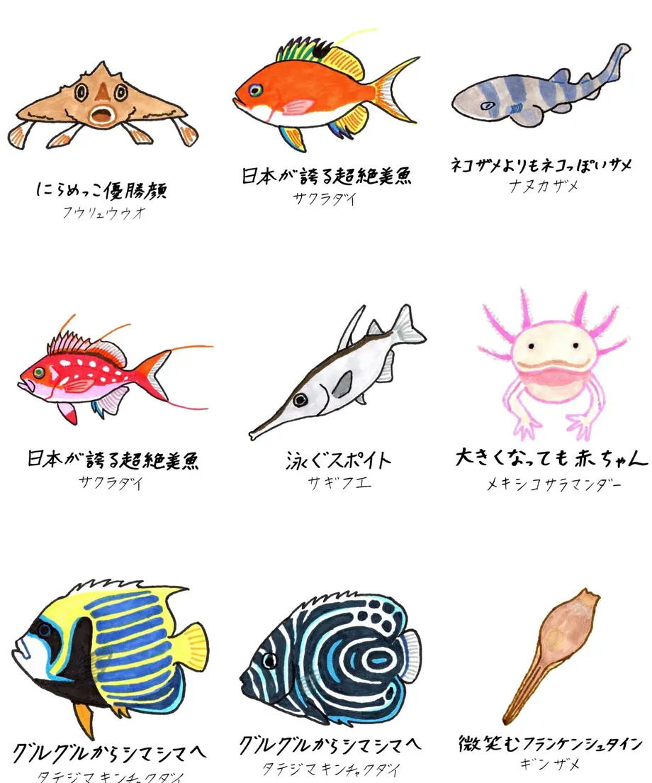 62f1b75e5ff423534cc081cf