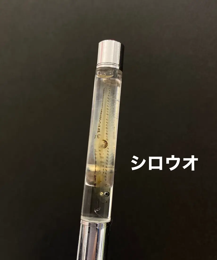 630486d7402ae636d2f40e0d
