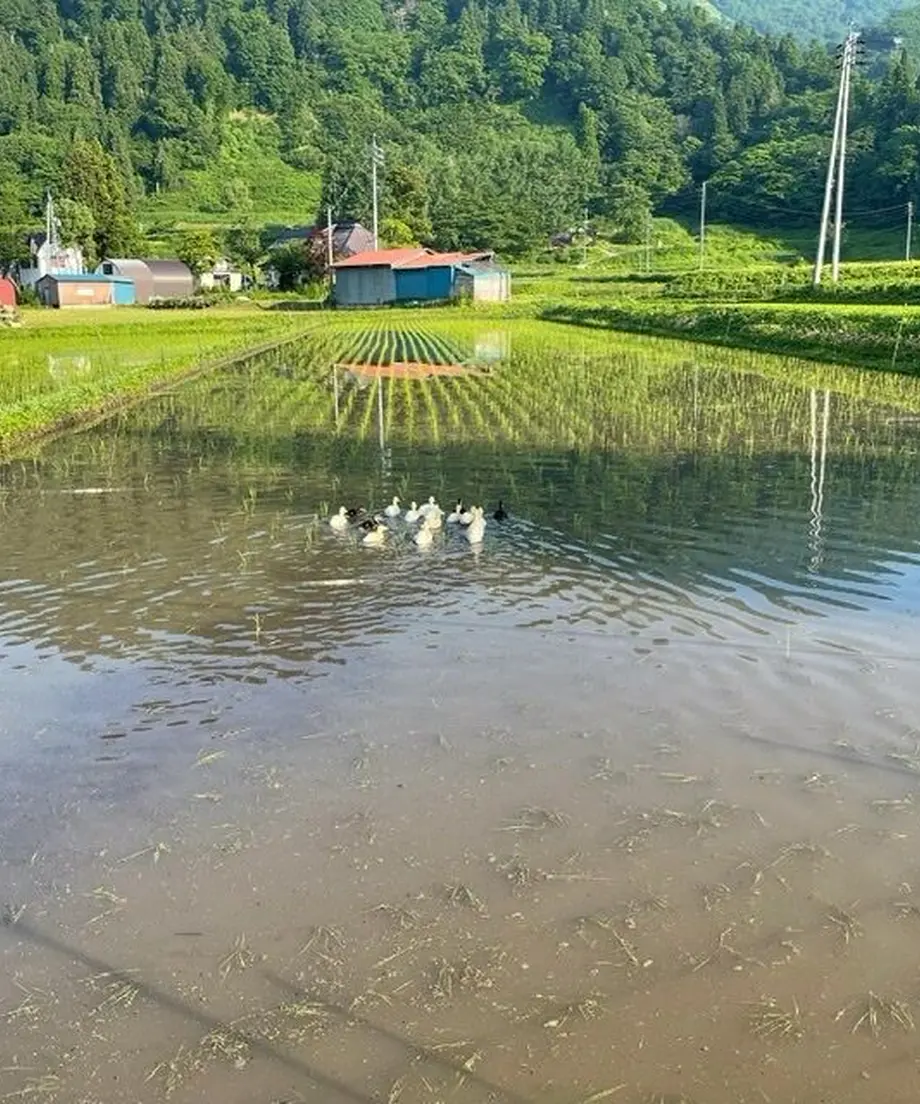 5fd1725872eb4654ff34247d