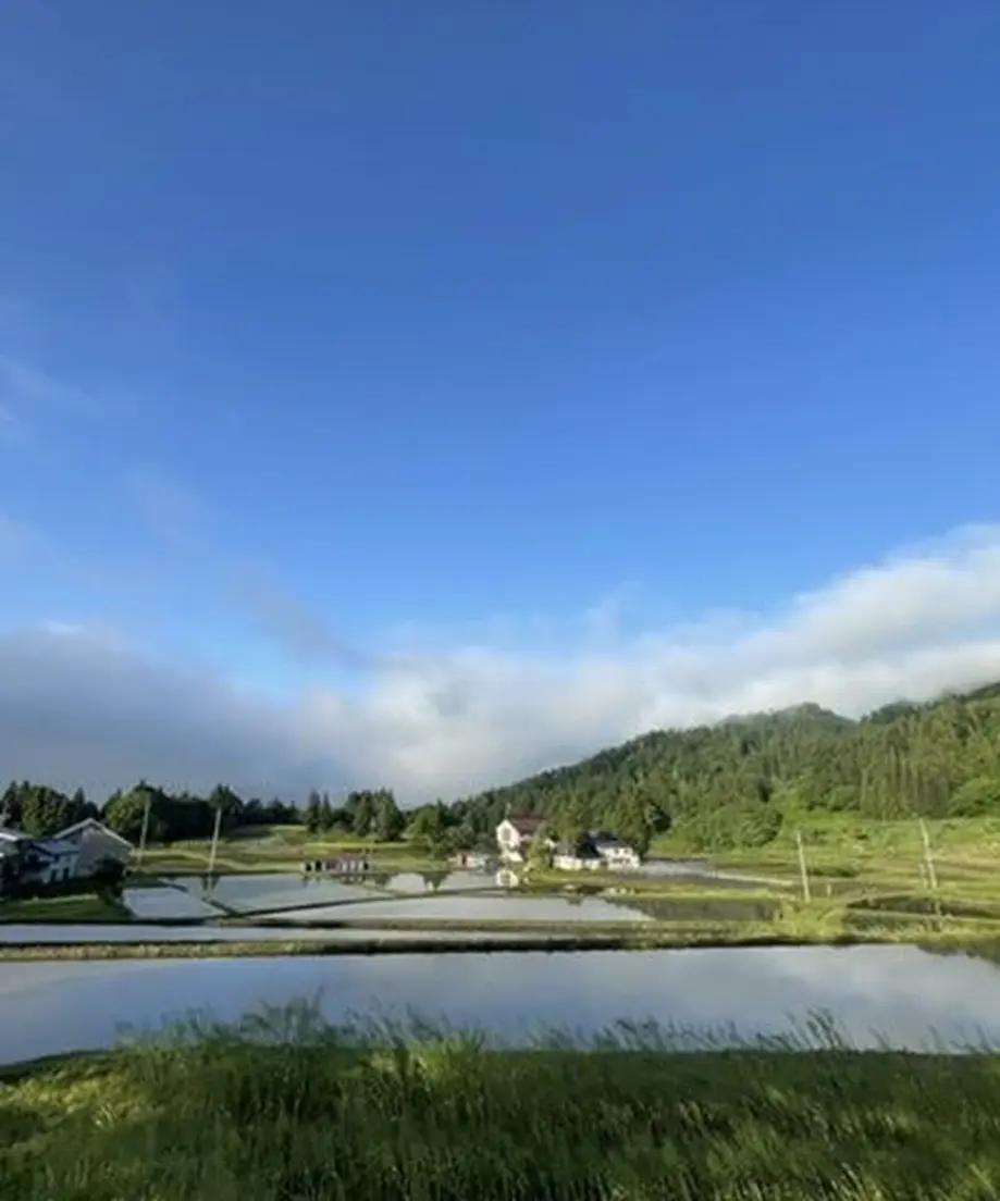 5fd1725872eb4654ff34247d