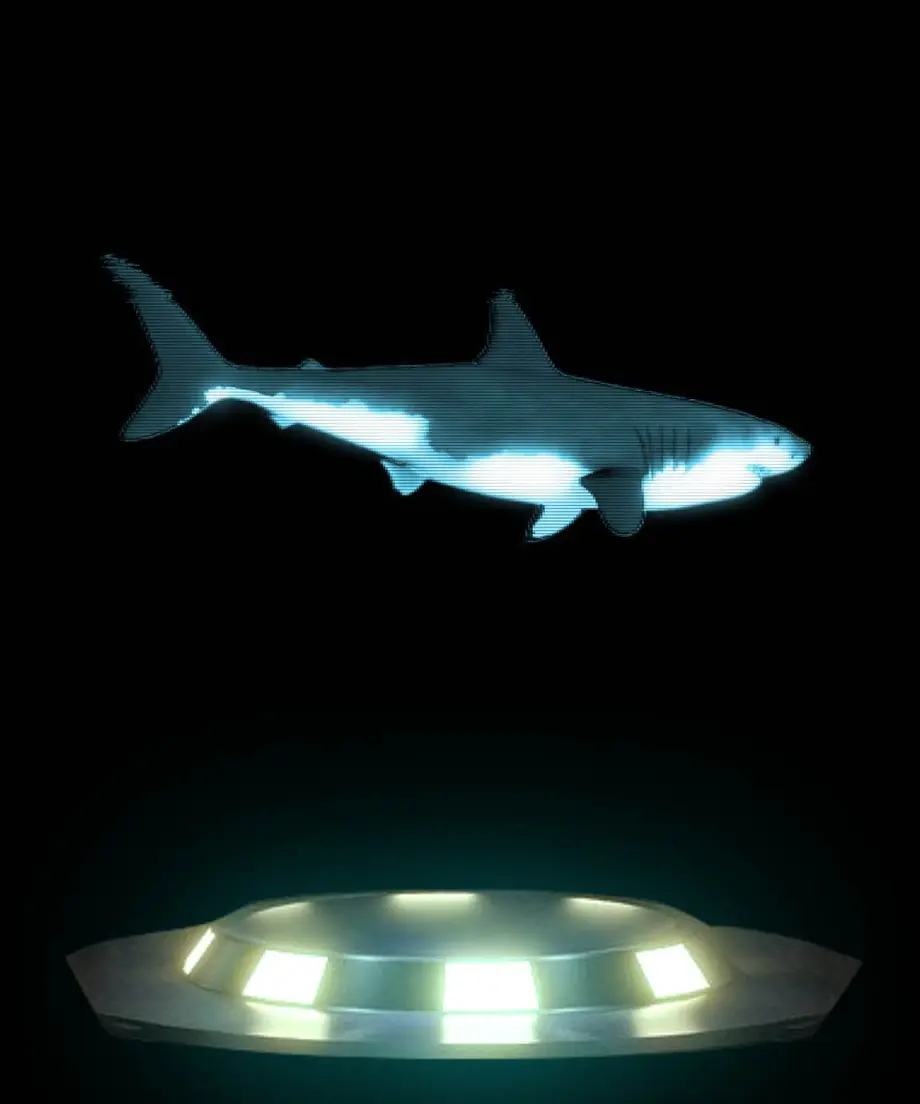 サメ ホログラム 動く壁紙を