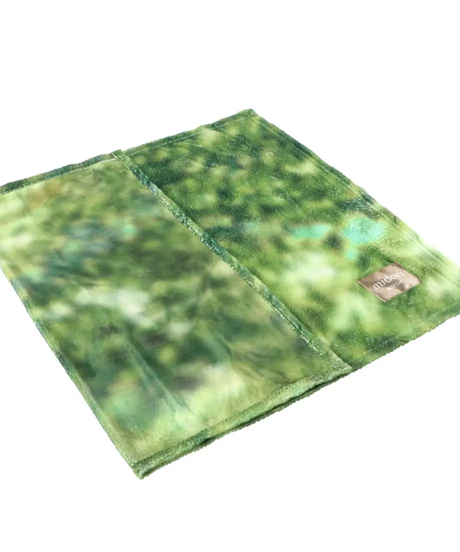63904c57b16444072816fbef