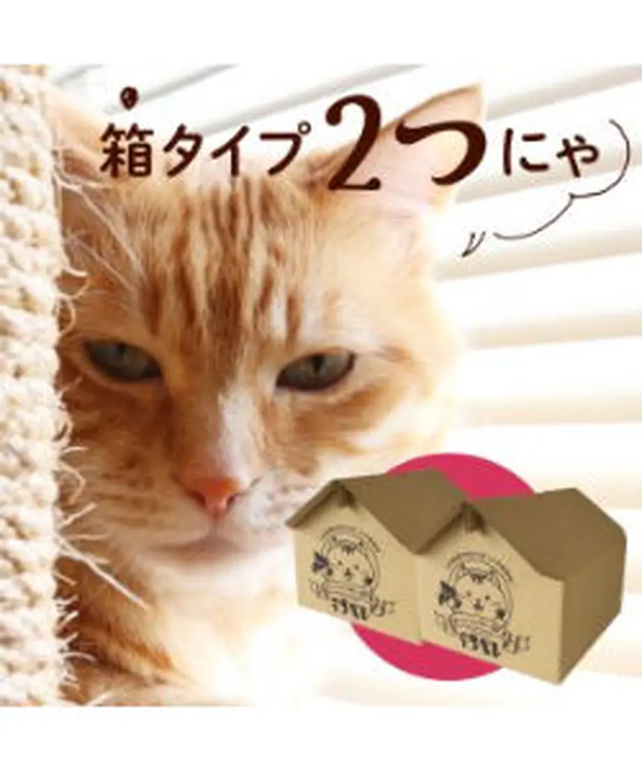 5d676376e4fc391a5ab75dd9