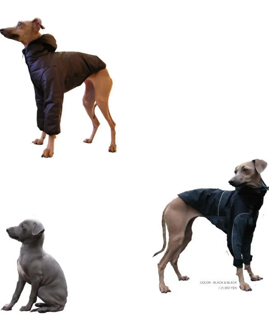 5a686683c8f22c11af001637