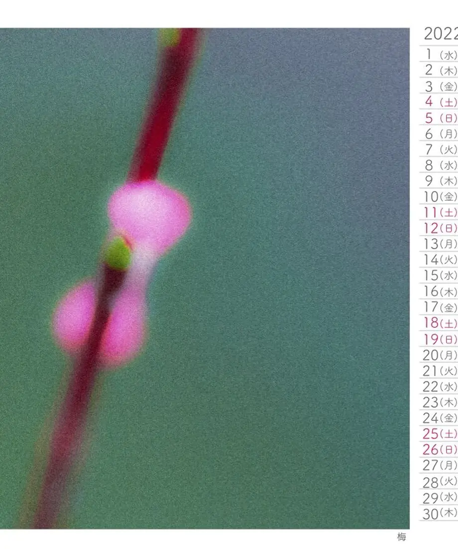 614ee6d8edf49f2f5b2d6301