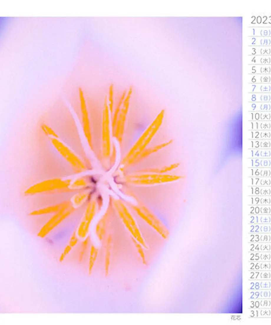 614ee6d8edf49f2f5b2d6301