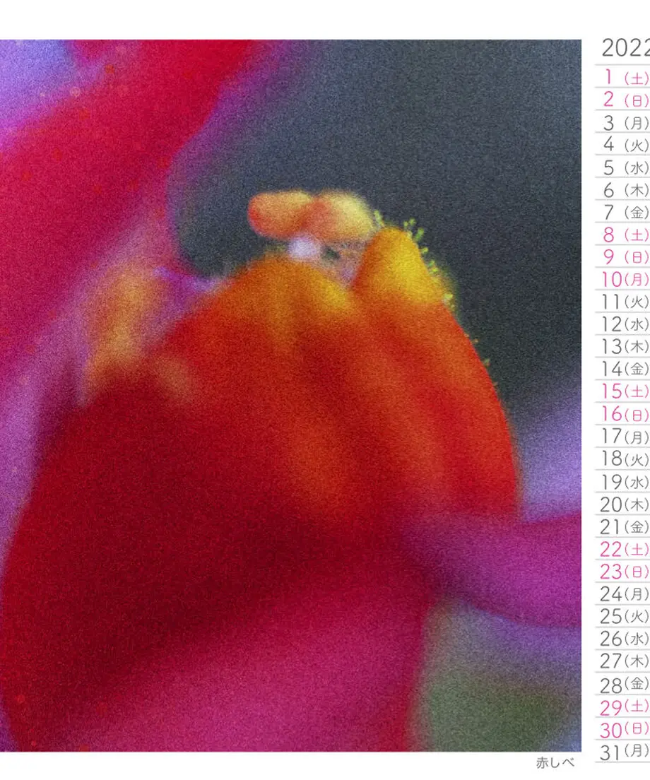 614ee6d8edf49f2f5b2d6301