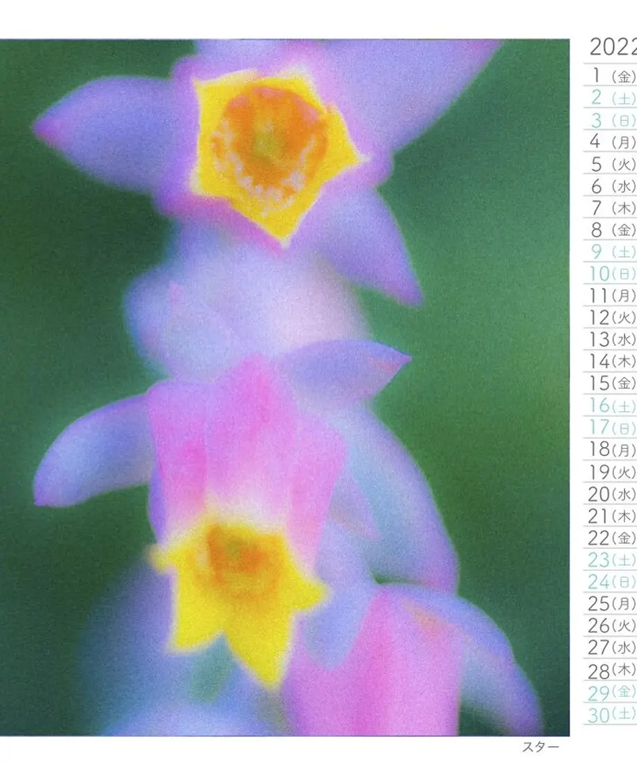 614ee6d8edf49f2f5b2d6301