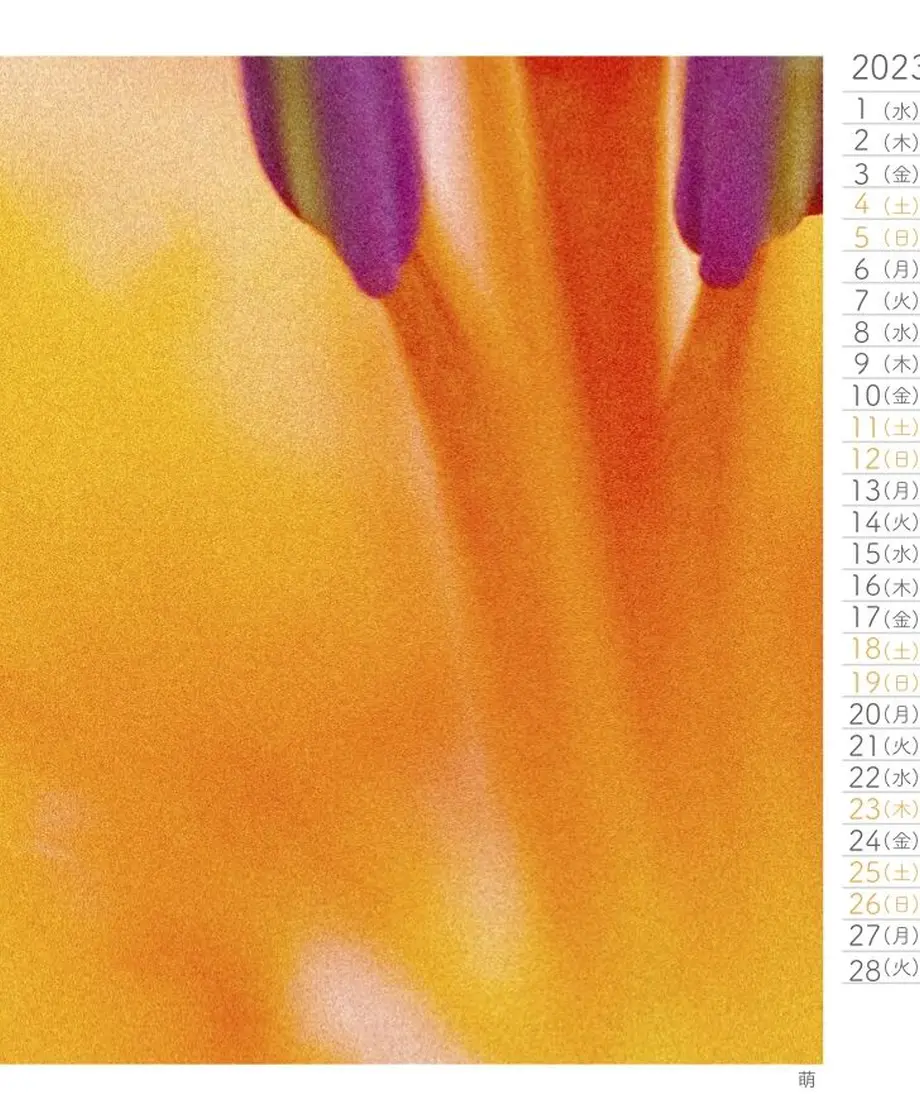 614ee6d8edf49f2f5b2d6301