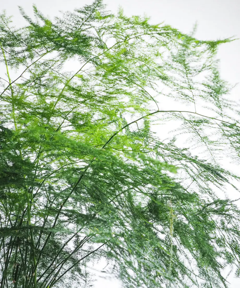 631c673623c2aa502f7ee41f