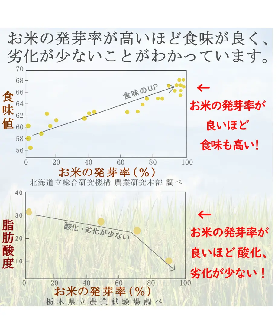5dfc690463538a5508c65052