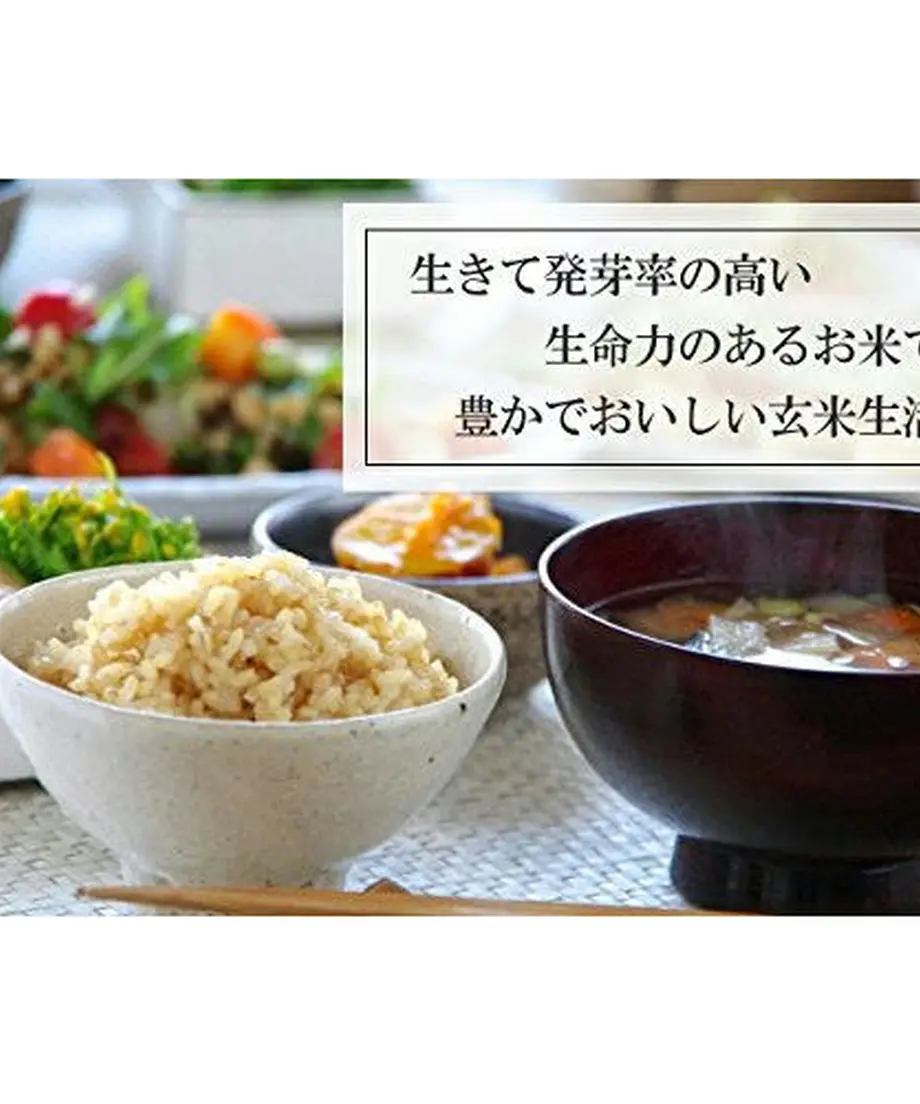 5dfc690463538a5508c65052