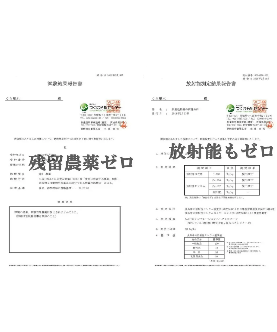 5dfc690463538a5508c65052
