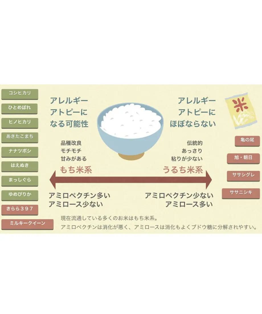 5dfc690463538a5508c65052