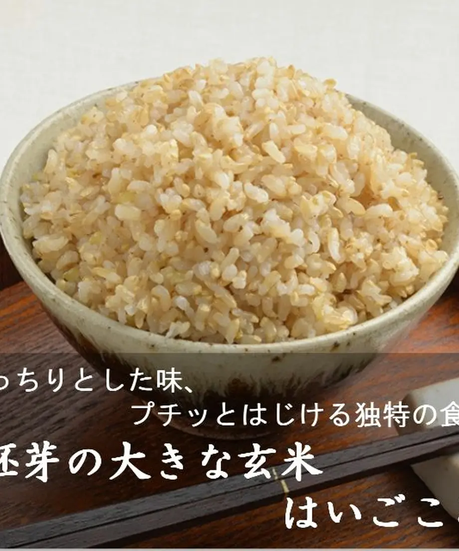 5dfc690463538a5508c65052