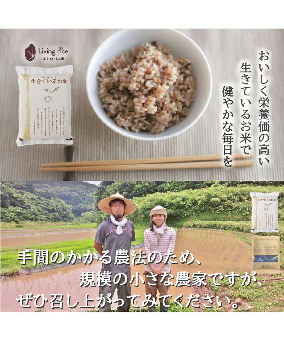 5dfc690463538a5508c65052