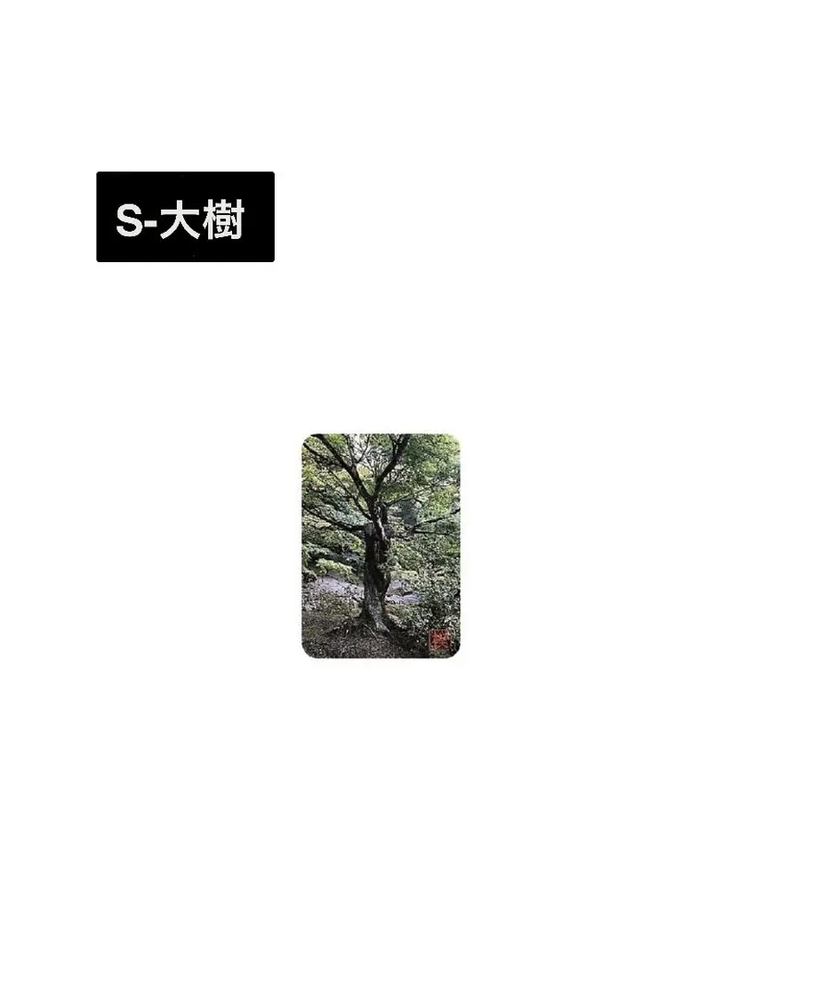 5f1fc732791d02526d41e731
