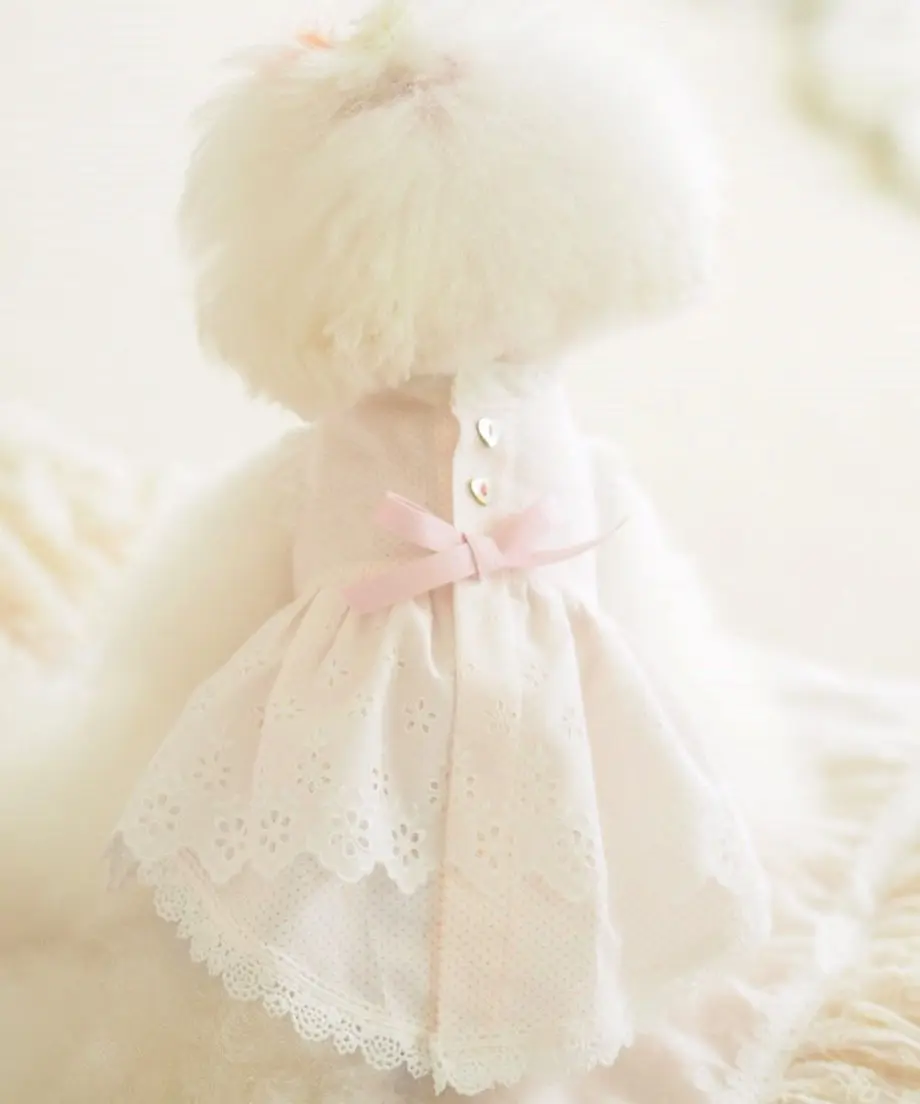 5c8b52a0164eb12a3c1e60e6
