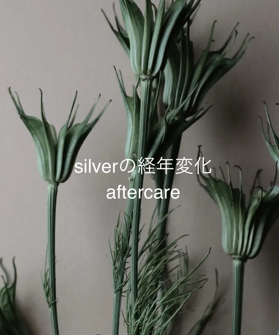 62bd39e34ff8c2306f784b40