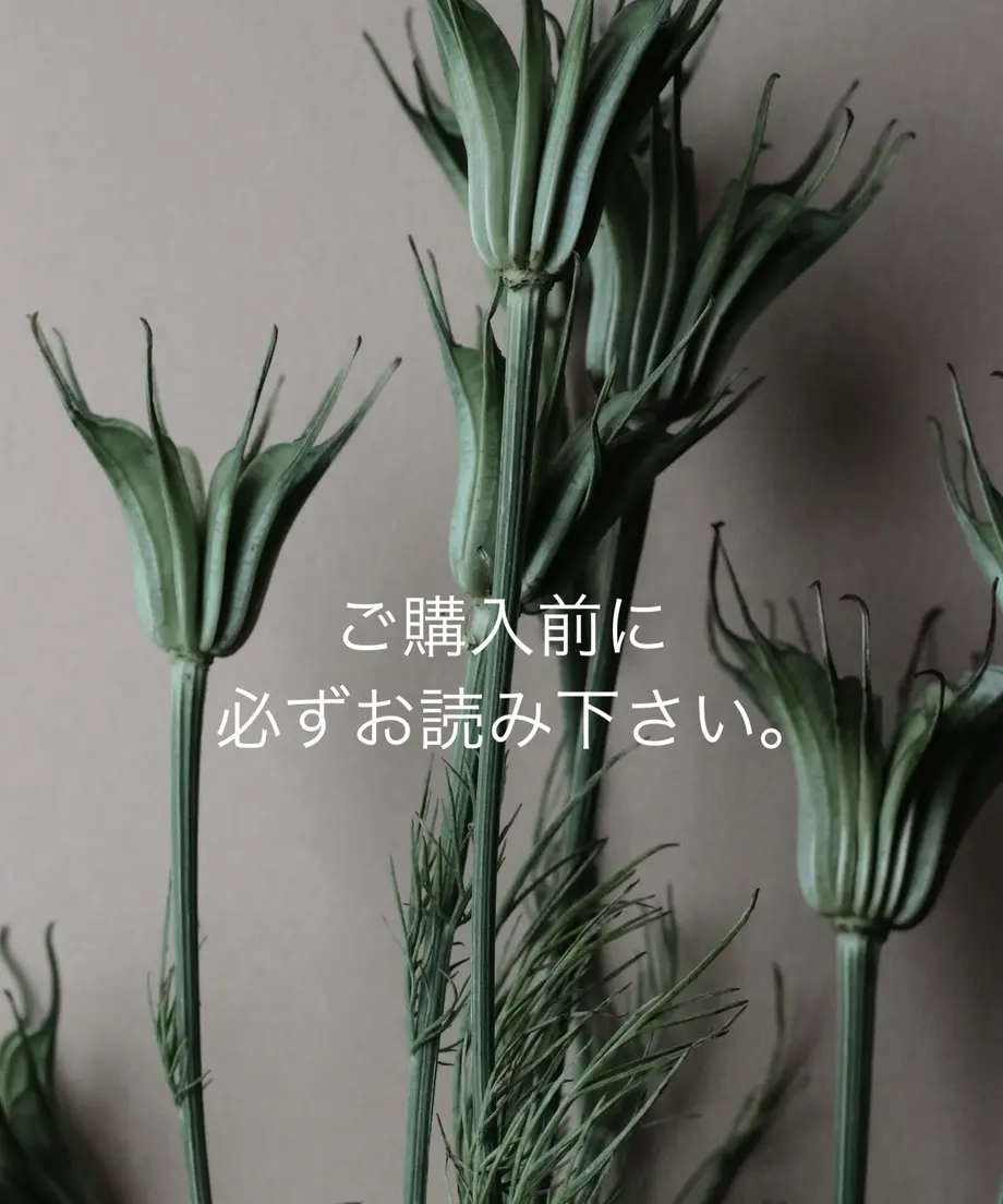 5f8ae979d24eee12e427f5df