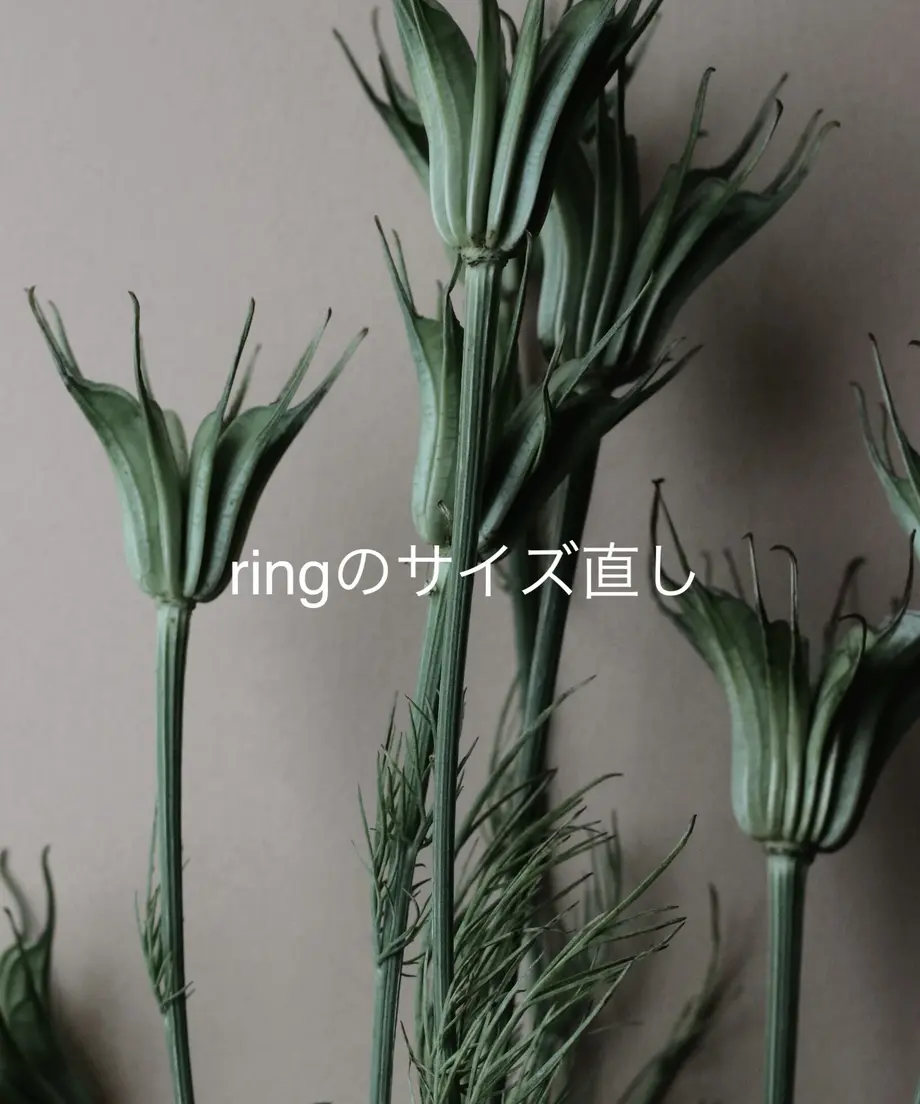 5f9777ef15ab3164dc066bda