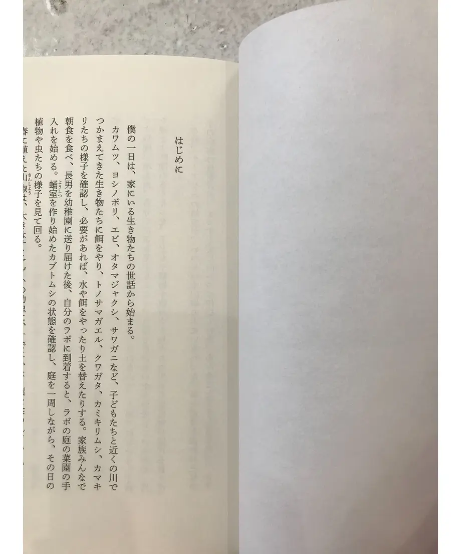 61987b15863b734cbd1c5a89
