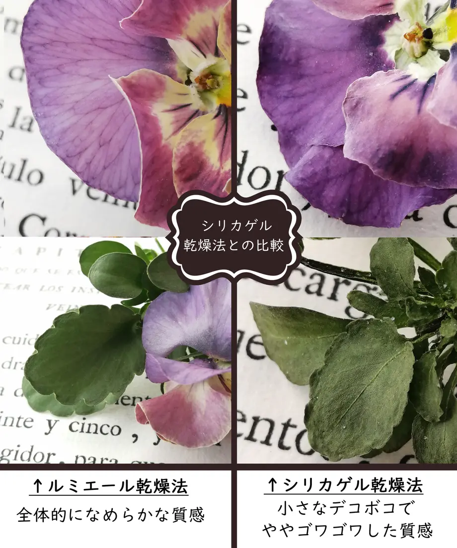 6006ed51bbb6832fb0208793