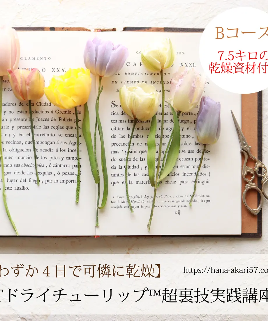 624ecd28c9883d06b1192155
