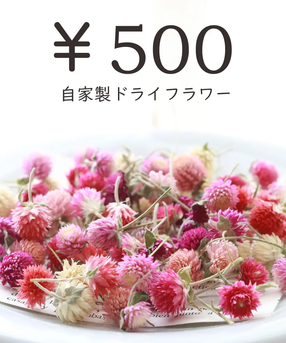 61d6b92e113ce023e8cb4635