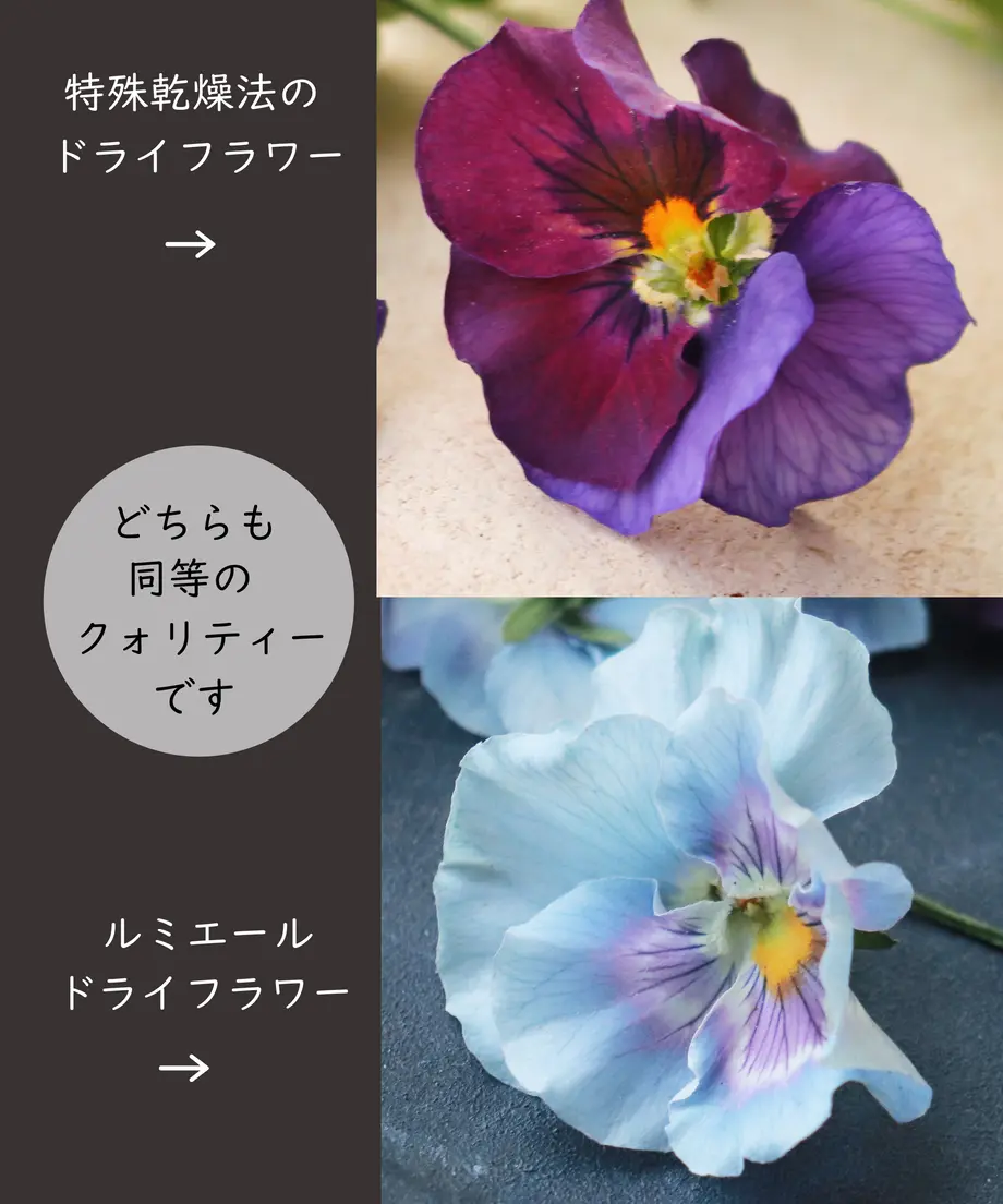6006e4c6bbb683647820ad61