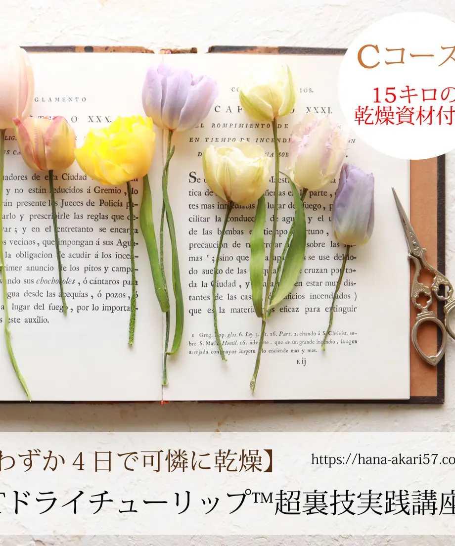 624ecfd0719e8e18ddb83a35