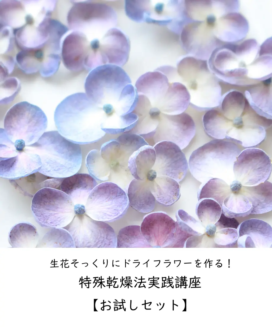 60040a61da019c4b3add423f