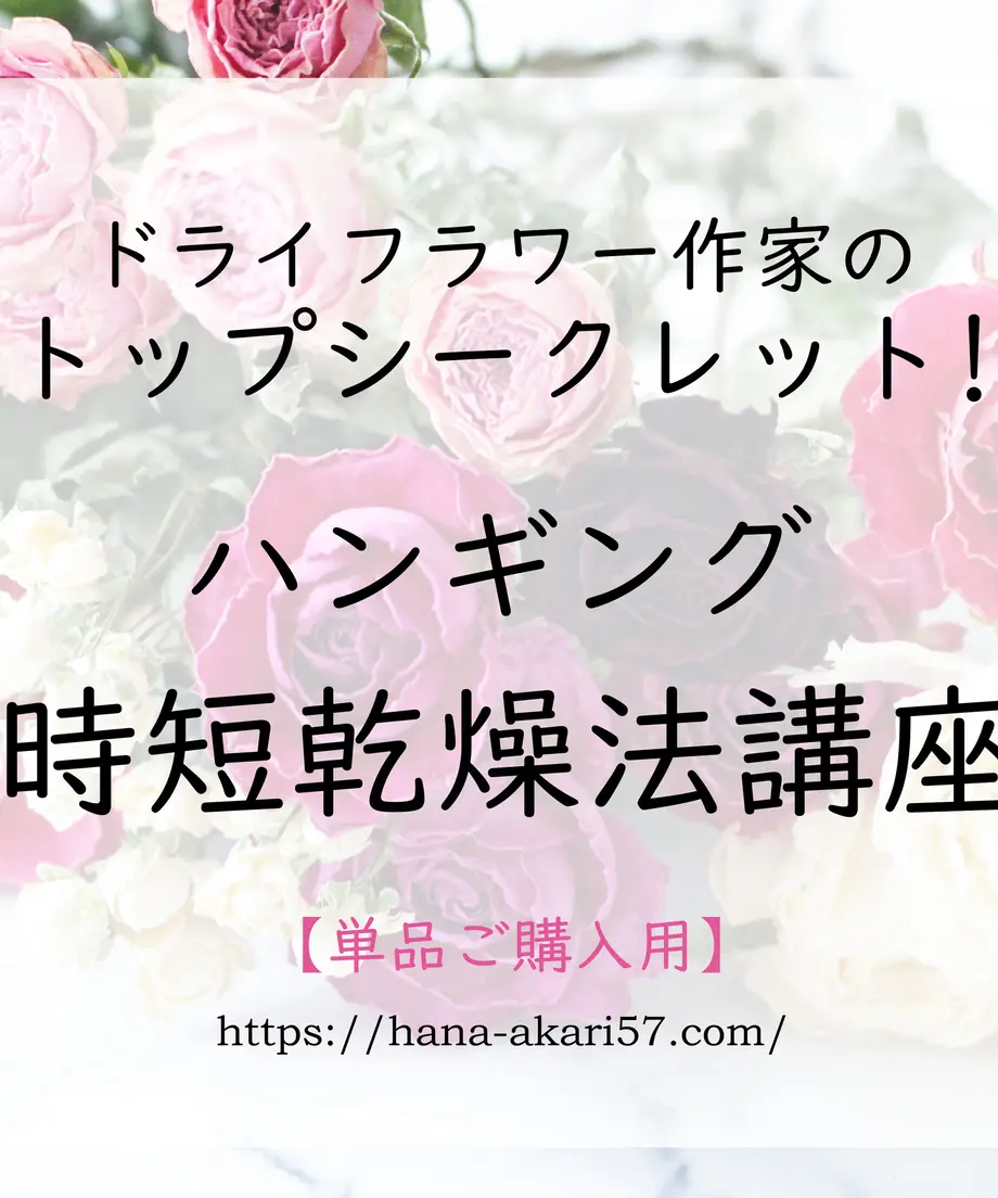 624feb519fe3d747791ca939